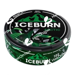 ICEBURN - ARCTIC - Арктическая Мята (100mg)