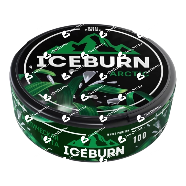 ICEBURN - ARCTIC - Арктическая Мята (100mg) — купить снюс оптом в НикОптом