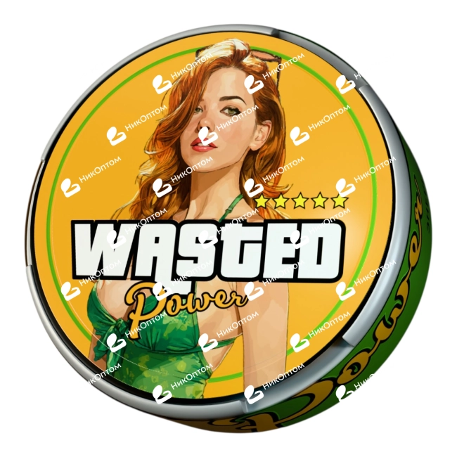 WASTED - POWER - Энергетик (200mg) — купить снюс оптом в НикОптом