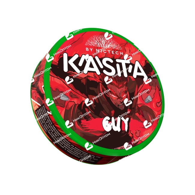 KASTA - Anime 125mg - Guy - Земляника с мятой — купить снюс оптом в НикОптом