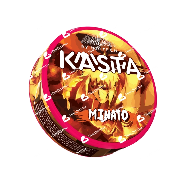 KASTA - Anime 125mg - Minato - Кумкват с мятой — купить снюс оптом в НикОптом